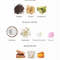 Amouroud Apricot Nectar - фото 5