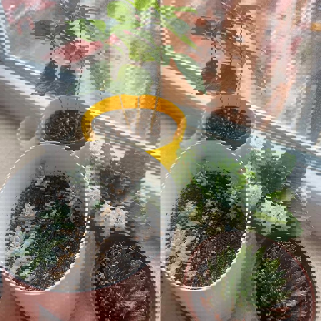 Цветочный горшок белый