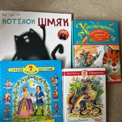 Другие книги - фото 2