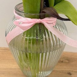 Плёночный фотоаппарат - фото 9