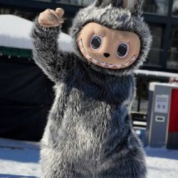 Ростовой костюм 'ЛАБУБУ' - фото 4