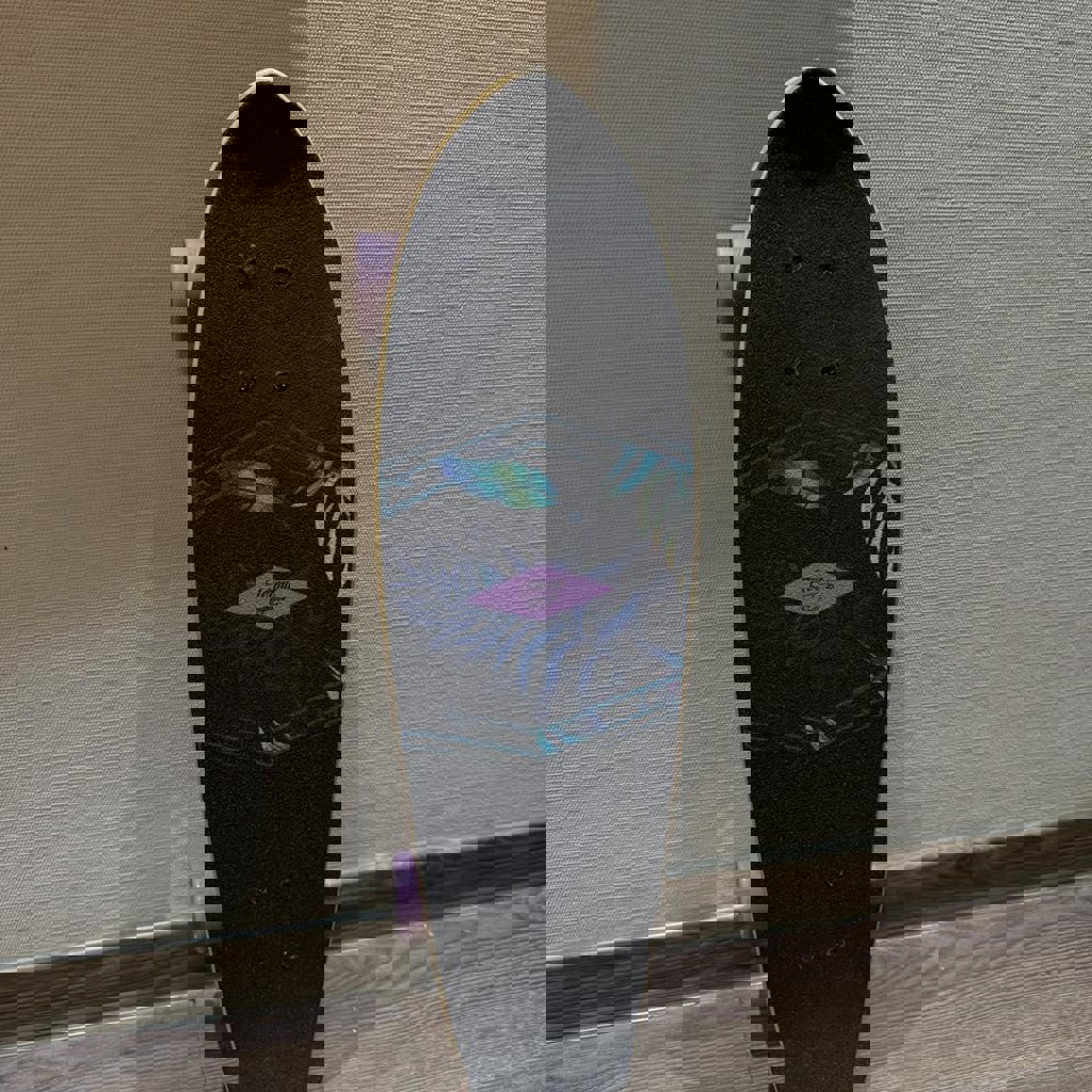 Скейтборд Termit Cruiser