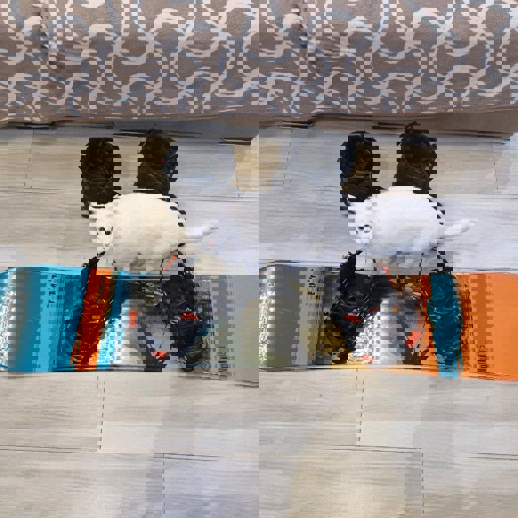 Комплект сноуборда