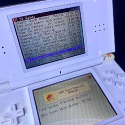 Nintendo DS Lite - фото 4