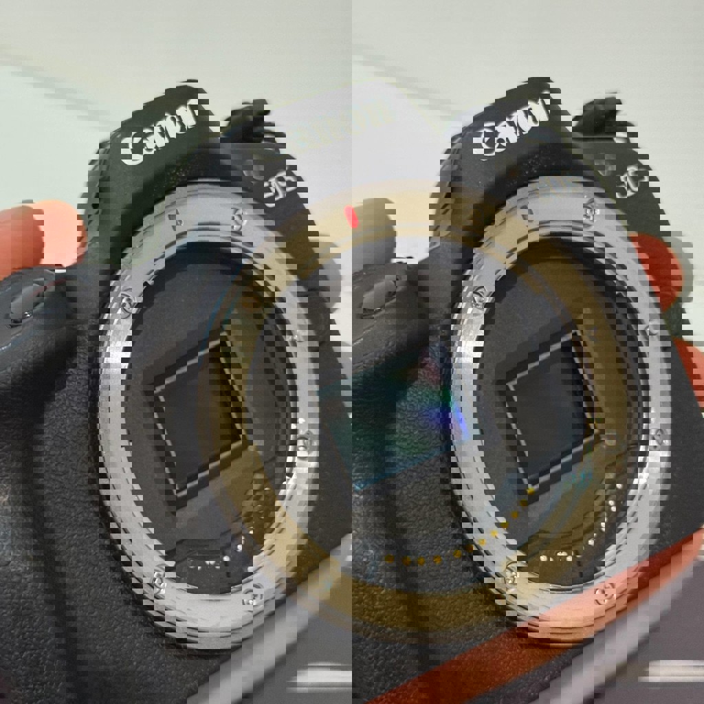 Камера Canon R50