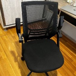 Сухоцветы - фото 4