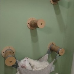 Гамак для кошки - фото 1