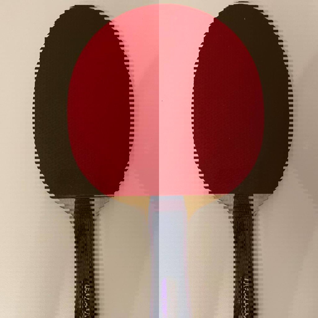 Ракетка для настольного тенниса Neottec SX70