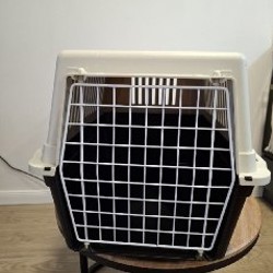 Переноска для собак и кошек - фото 9