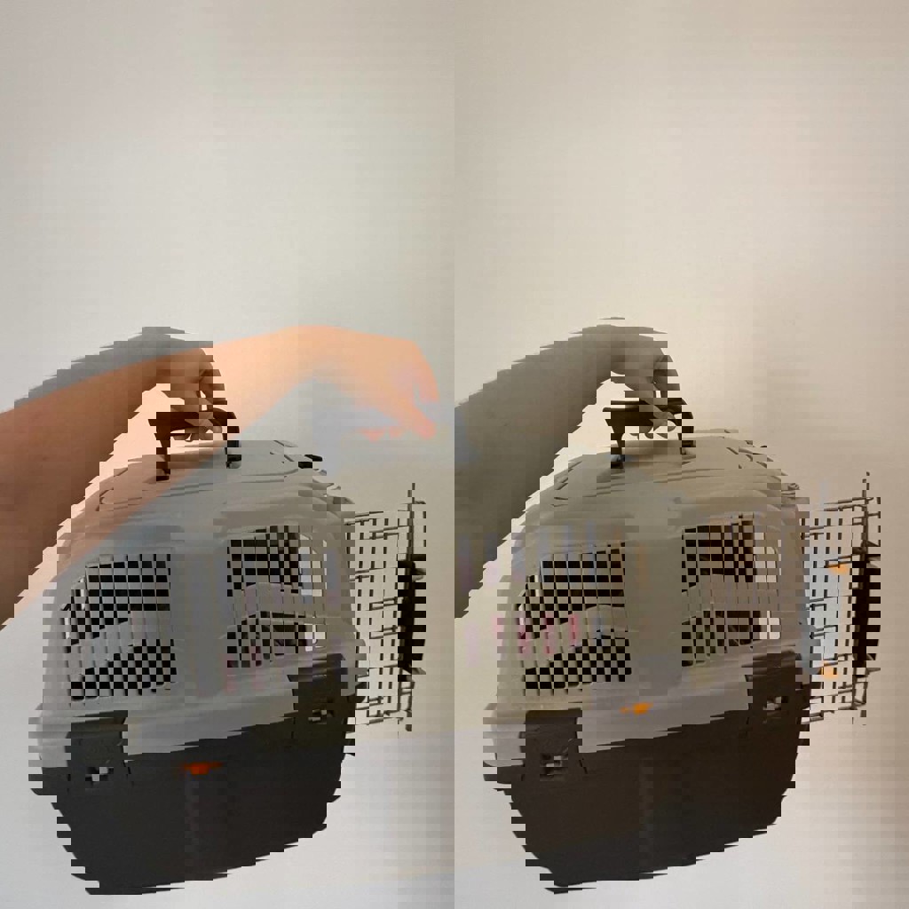 Переноска SCUDO 2