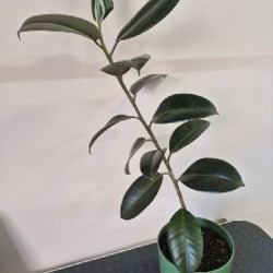 Чехлы на подушку - фото 8