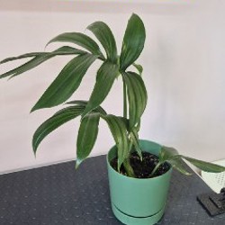 Чехлы на подушку - фото 9