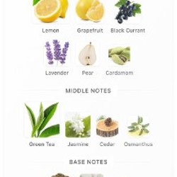 Mancera Melody of the Sun - фото 3