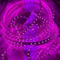 Светодиодная лента - фото 4