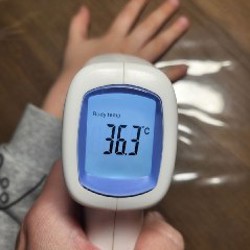 Бесконтактный термометр B.Well WF-4000 - фото 3