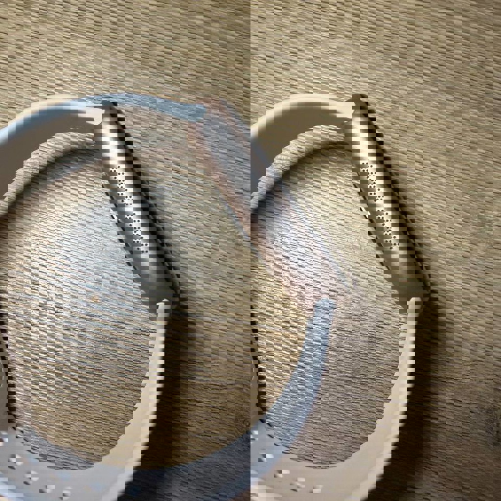 Apple Watch Series 11