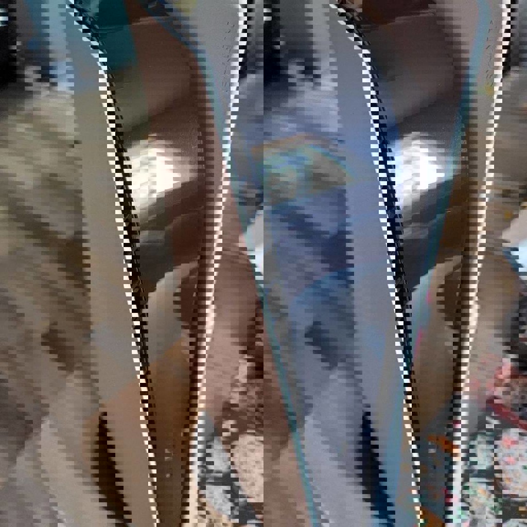 PS5 FAT Disc Version