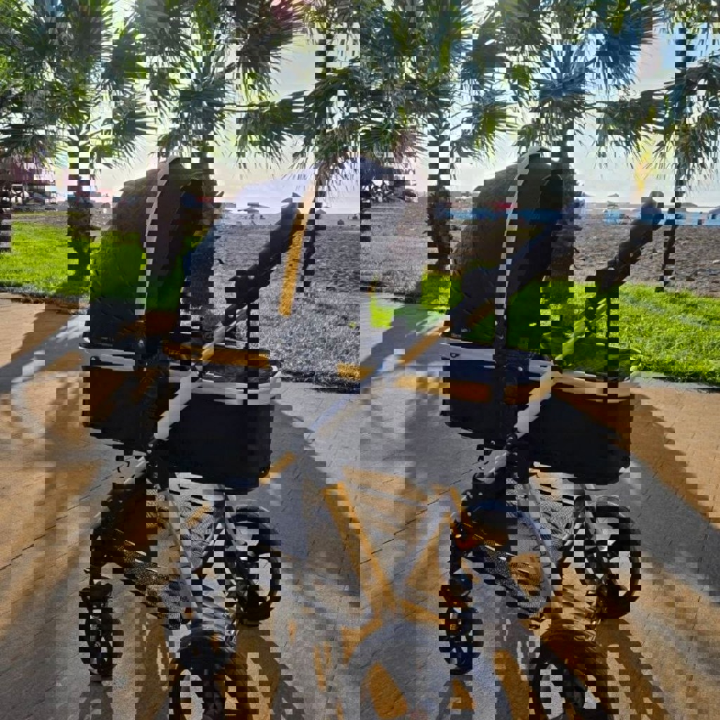 Коляска 2в1, Chipolino Havana