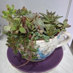 Кружка с суккулентами - фото 7
