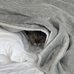 Большой плед для кровати - фото 3