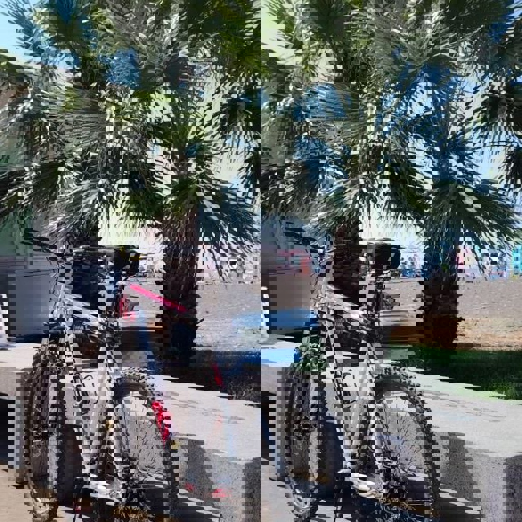 Велосипед Ардис