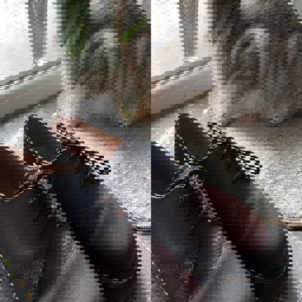 Туфли Dr. Martens 1461