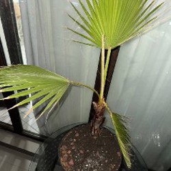 Маленькие цветы - фото 1