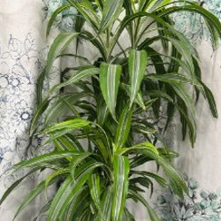 Маленькие цветы - фото 4