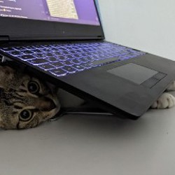 Игровой ноутбук Lenovo Legion 5 530Y - фото 2