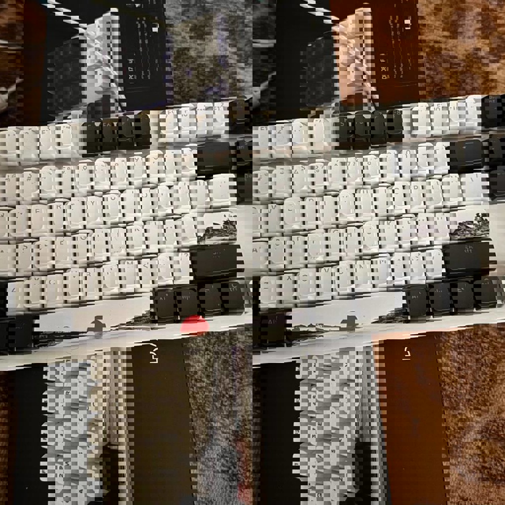 Механическая клавиатура Dark Project