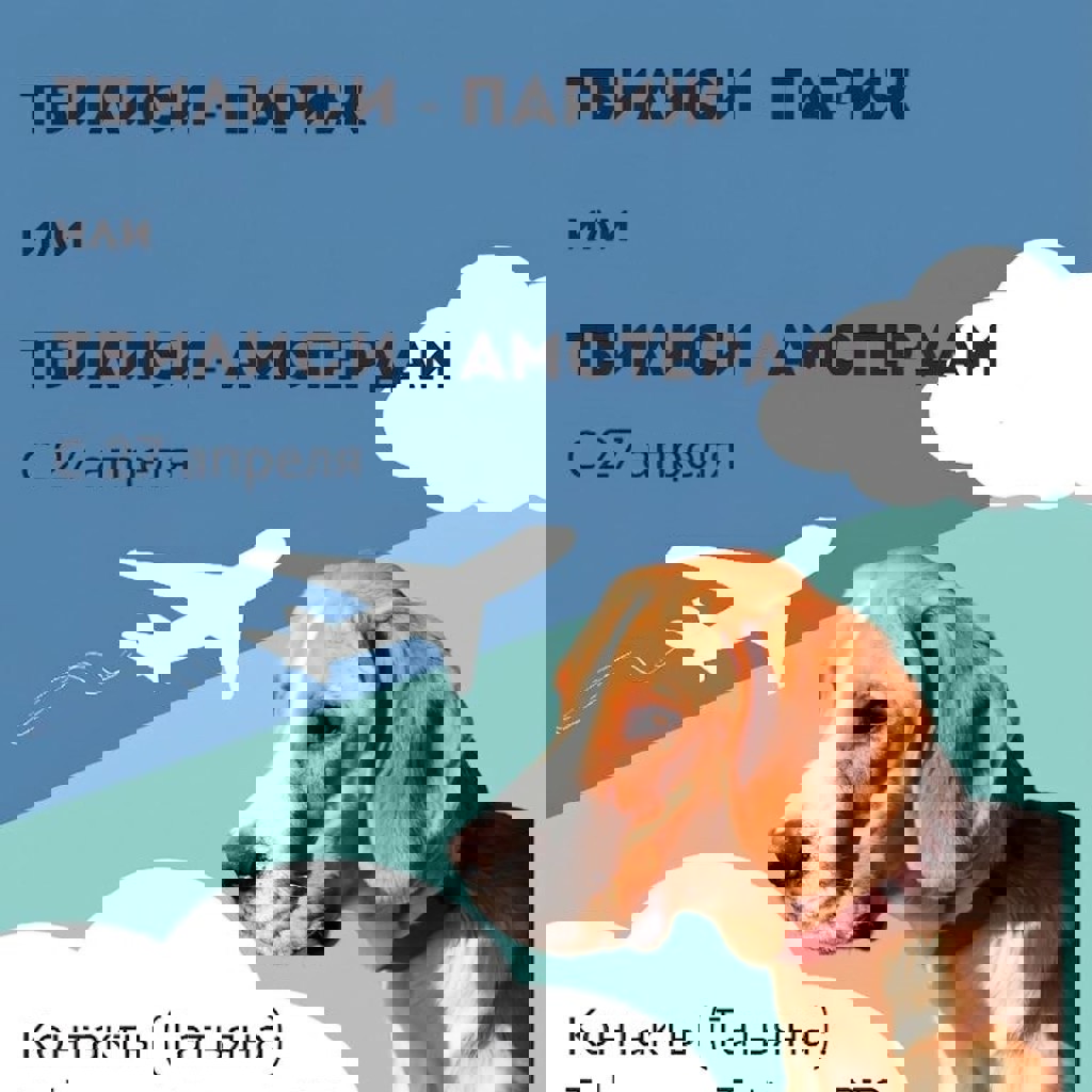 Собака Фредди