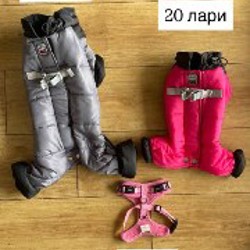 Комбинезоны для собак - фото 2