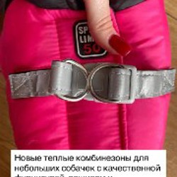 Комбинезоны для собак - фото 3