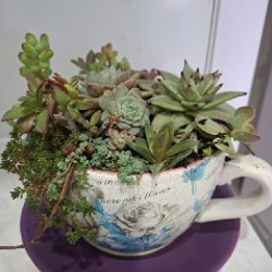 Роули - фото 9