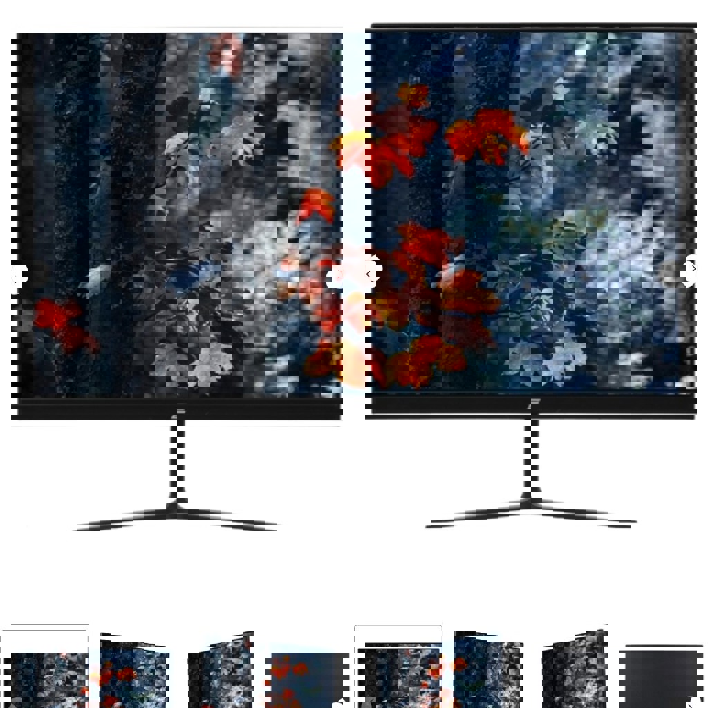 Монитор 2е С2420В