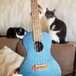 Укулеле - фото 2