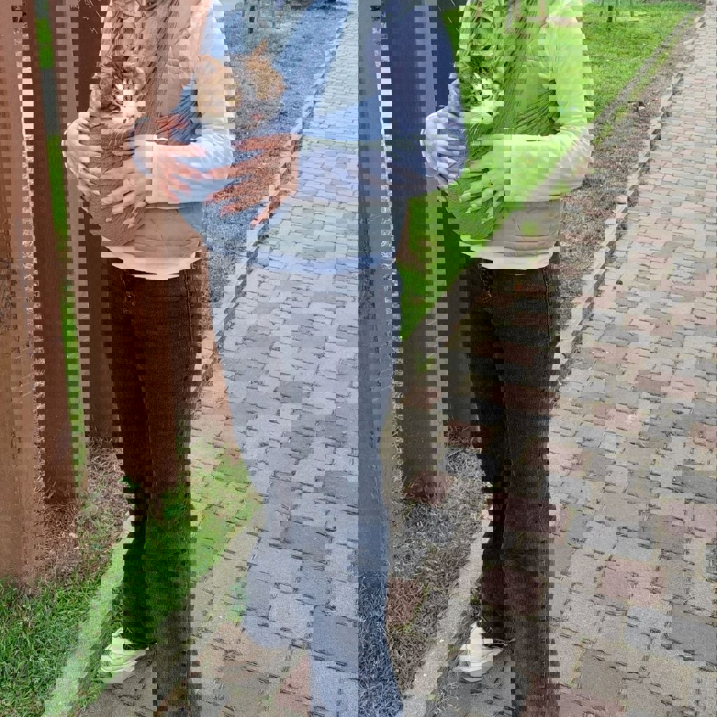 Кенгуру для кошек и собак