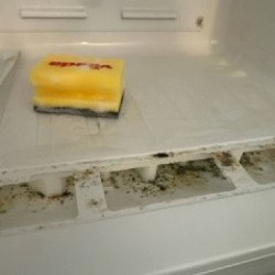 Люстра - фото 2