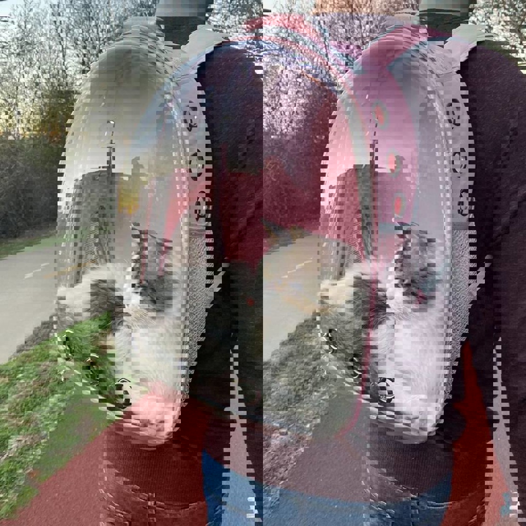 Рюкзак-переноска для животных