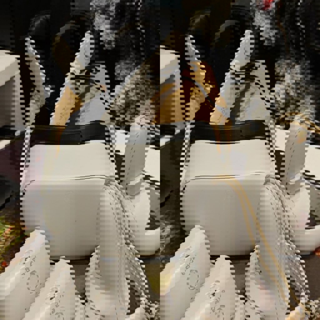 Meta Quest 2 + BOBOVR