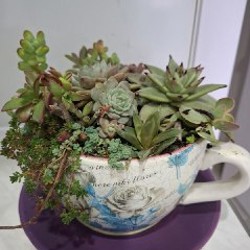 Плющ - фото 8