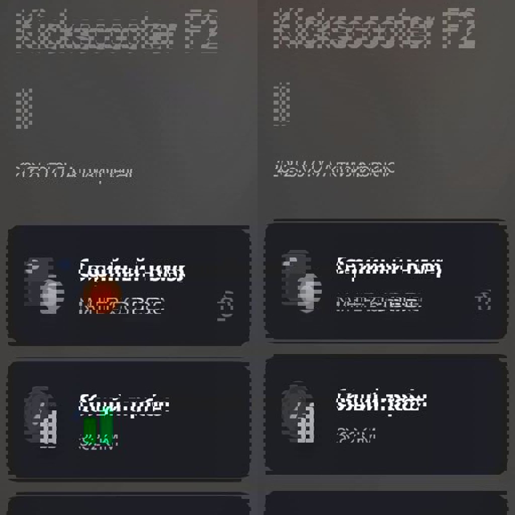 SEGWAY NINEBOT Kickstarter F2 II