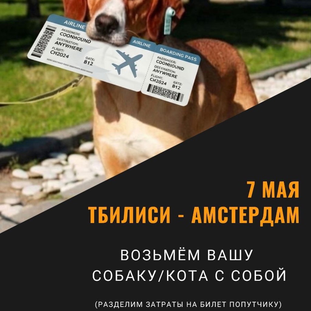 Доставка животных