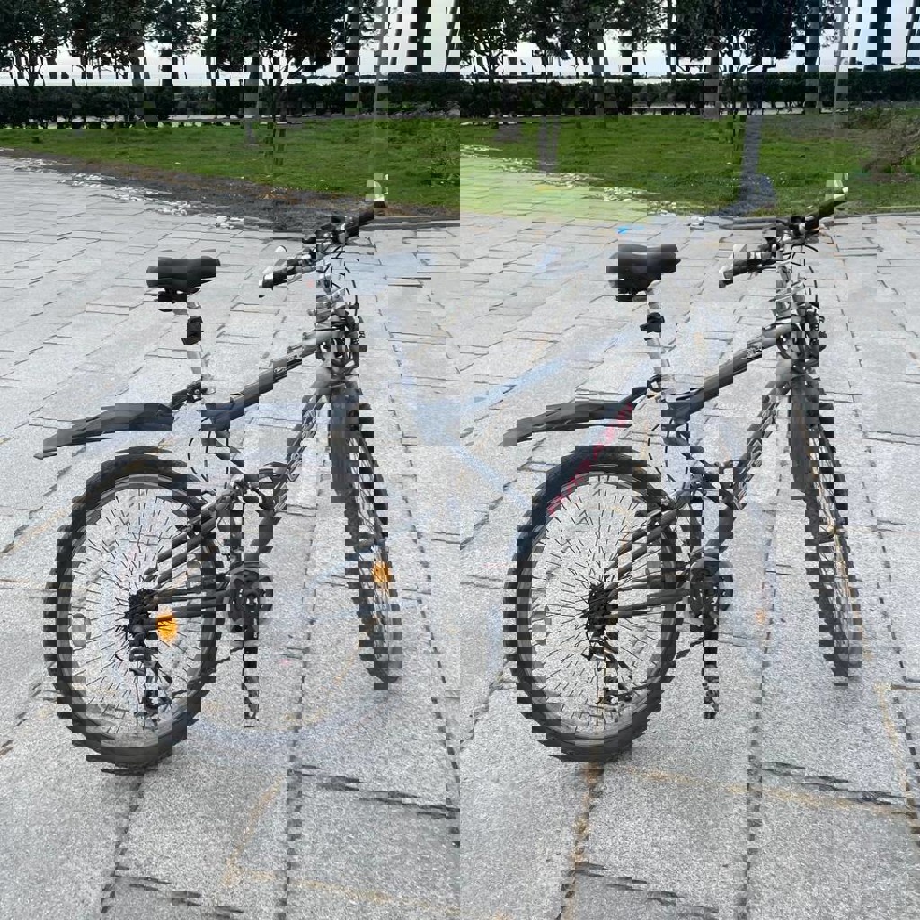 Велосипед серый европейский