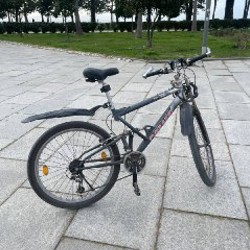 Велосипед серый европейский - фото 1