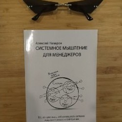 Книга Системное мышление для менеджеров - фото 3