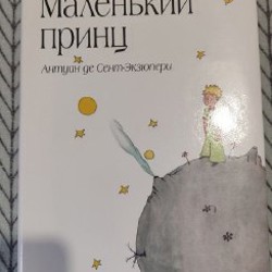 Маленький принц - фото 8