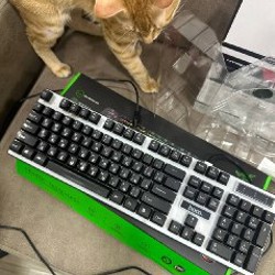 Наушники - фото 1