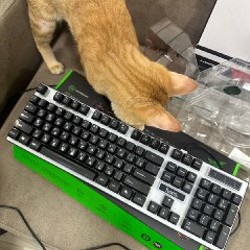 Наушники - фото 2