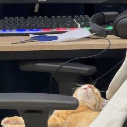 Наушники - фото 3